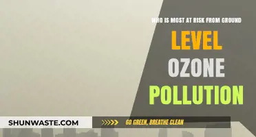 Ground Level Ozone Pollution: Identifying the Most Vulnerable Populations