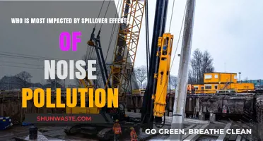 Noise Pollution Spillover: Who Bears the Brunt of Its Impact?