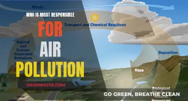 The Culprits Behind Air Pollution Revealed