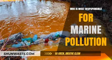 Unveiling the Culprits: Who Bears the Most Blame for Marine Pollution?