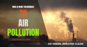 The Most at Risk: Air Pollution's Vulnerable Victims