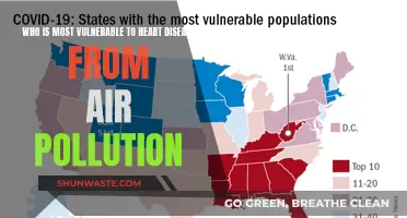 Air Pollution: Who's at Risk of Heart Disease?