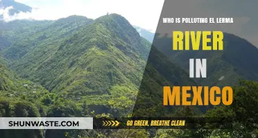 Unveiling the Culprits Behind El Lerma River's Pollution Crisis