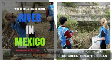 Unveiling the Culprits Behind El Serma River's Pollution in Mexico