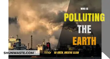 Unveiling the Culprits: Who's Behind Earth's Pollution Crisis?