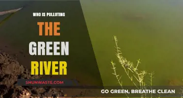 Unveiling the Culprits Behind Green River's Pollution Crisis