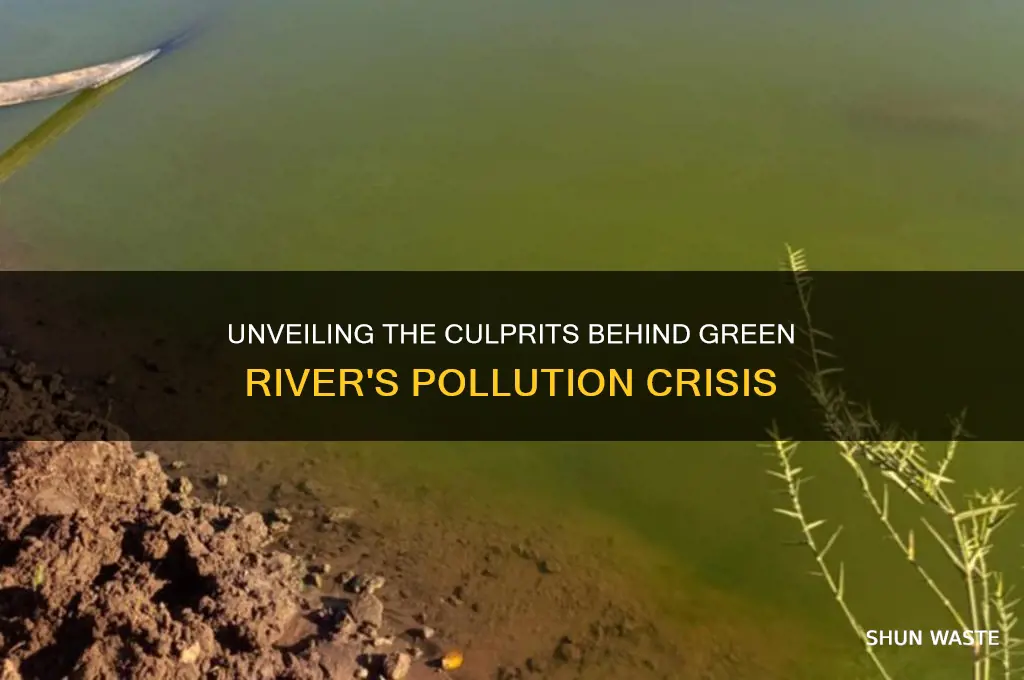 who is polluting the green river