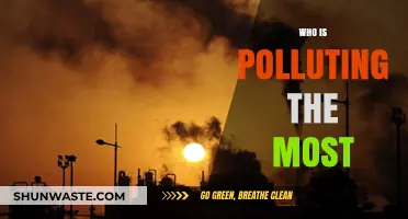 Unveiling the Top Polluters: Who's Driving Global Environmental Degradation?
