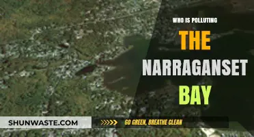 Unveiling the Culprits Behind Narragansett Bay's Pollution Crisis