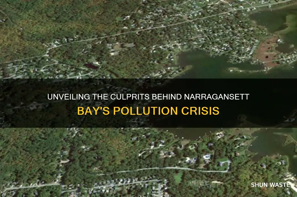 who is polluting the narragansett bay