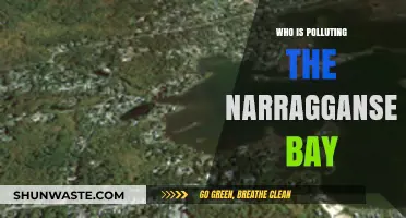 Unveiling the Culprits Behind Narragansett Bay's Pollution Crisis