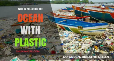 Unveiling the Culprits: Who's Dumping Plastic into Our Oceans?