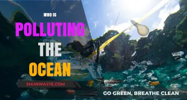Unveiling the Culprits: Who's Behind the Ocean's Pollution Crisis?