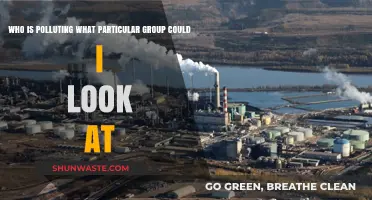 Unveiling Polluters: Identifying Key Groups Behind Environmental Contamination