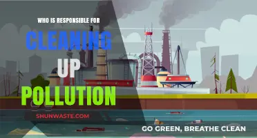 Who Bears the Burden of Cleaning Up Pollution?