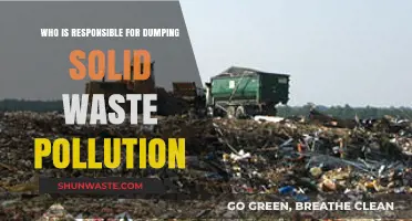 Unveiling Culprits: Who's Responsible for Solid Waste Pollution Dumping?