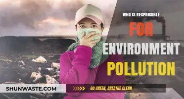 Unveiling Culprits: Who Bears Responsibility for Environmental Pollution?