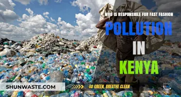 Fast Fashion's Toxic Legacy: Unmasking Kenya's Pollution Culprits
