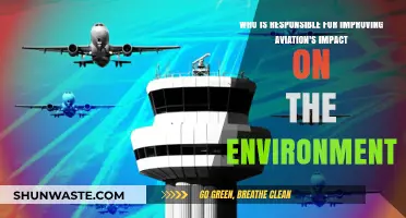 Who Bears the Responsibility for Greening Aviation's Environmental Footprint?
