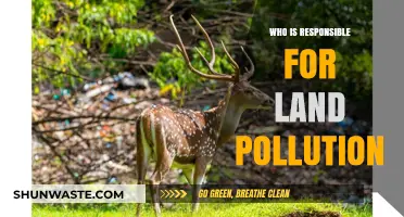 Who Bears the Burden? Uncovering Land Pollution's Culprits and Accountability