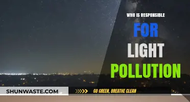 Who's to Blame for Light Pollution? Exploring the Culprits