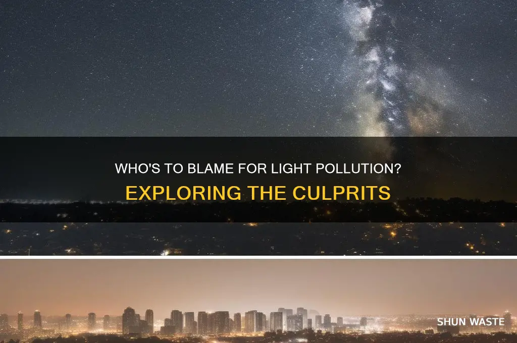 who is responsible for light pollution