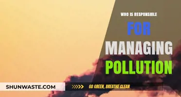 Who Bears the Burden? Accountability in Pollution Management Explored