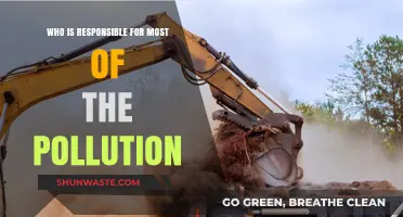Unveiling the Culprits: Who Bears the Brunt of Global Pollution?