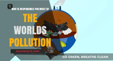 Unveiling the Culprits: Who Drives Global Pollution the Most?