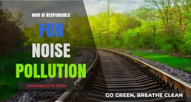 Who Bears the Blame for Noise Pollution? Exploring Responsibility