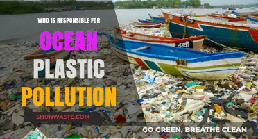 Unveiling the Culprits Behind Ocean Plastic Pollution: Who's to Blame?