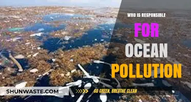 Unveiling the Culprits: Who's Behind the Ocean Pollution Crisis?