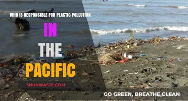 Unveiling Culprits: Who Bears Responsibility for Pacific Plastic Pollution?