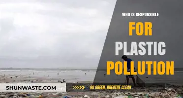 Unveiling the Culprits: Who Bears Responsibility for Plastic Pollution?
