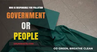 Pollution Crisis: Government Accountability vs. Individual Responsibility Debate