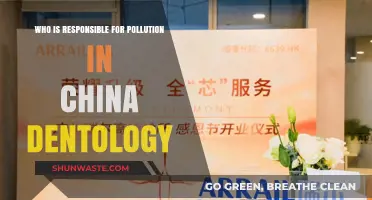 Unveiling China's Pollution Crisis: Who Bears Responsibility in Dentistry?