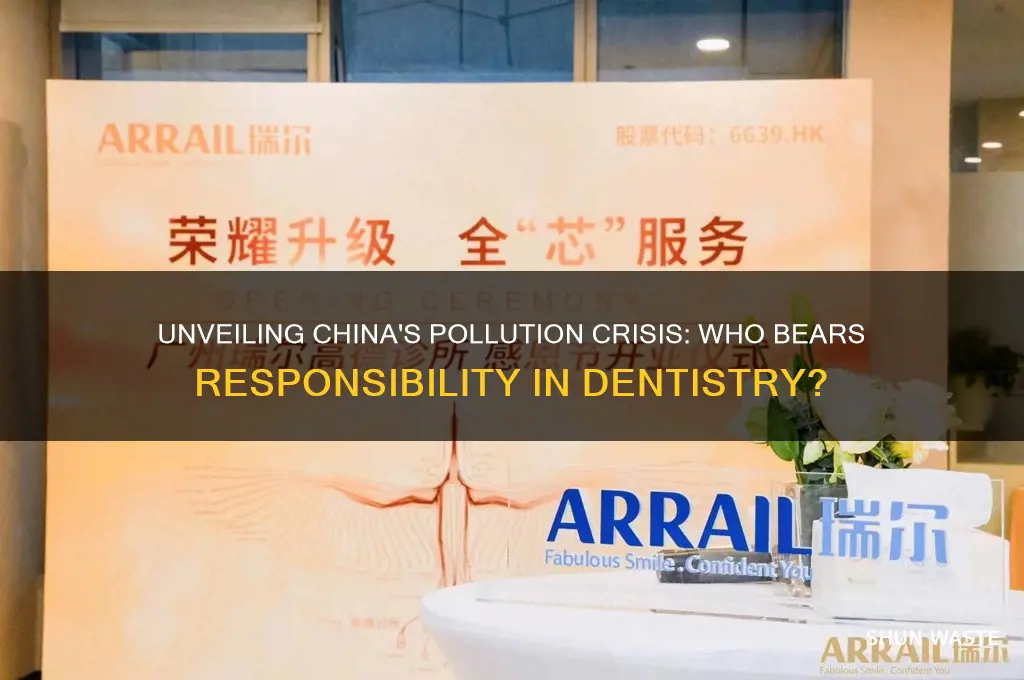 who is responsible for pollution in china dentology