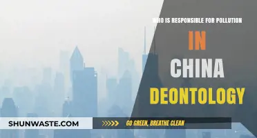 Deontological Ethics: Assigning Responsibility for China's Pollution Crisis