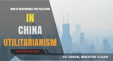 Utilitarianism and China's Pollution Crisis: Who Bears Responsibility?