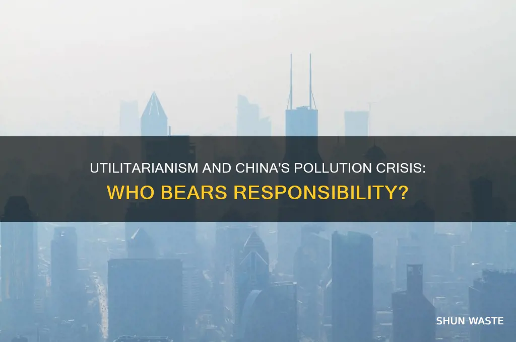 who is responsible for pollution in china utilitarianism