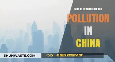 Unveiling China's Pollution Crisis: Who Bears the Responsibility?