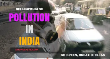Unveiling India's Pollution Crisis: Who Bears the Responsibility?
