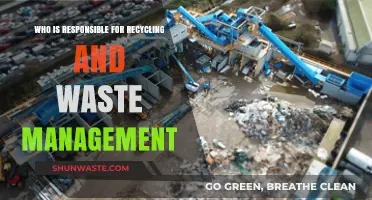 Who Bears the Responsibility for Recycling and Waste Management?