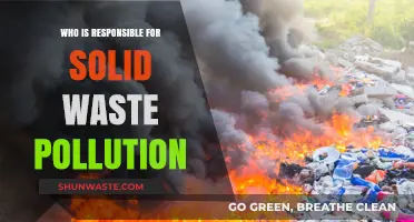 Unveiling Culprits: Who Bears Responsibility for Solid Waste Pollution?