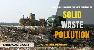 Who Bears Responsibility for Solid Waste Dumping Pollution?