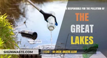 Unveiling the Culprits Behind the Great Lakes Pollution Crisis