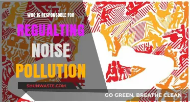Who Regulates Noise Pollution? Understanding Responsibility and Enforcement