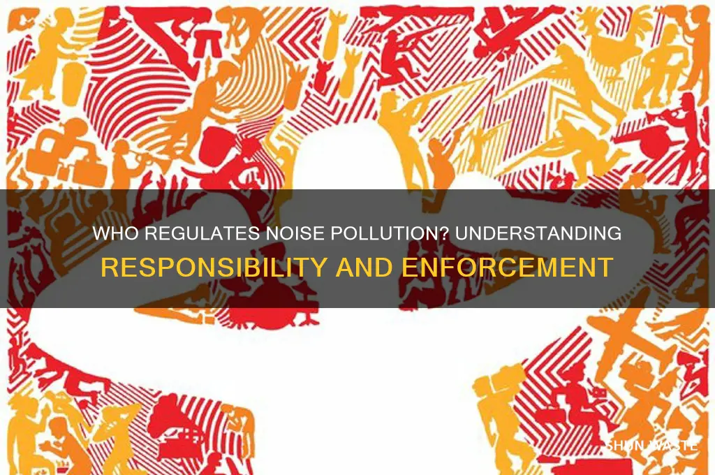 who is responsoble for regualting noise pollution