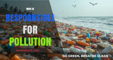 Who Bears the Burden? Uncovering Pollution's Culprits and Accountability