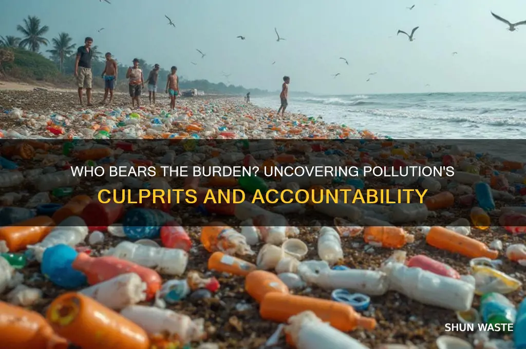 who is respoonsible for pollution